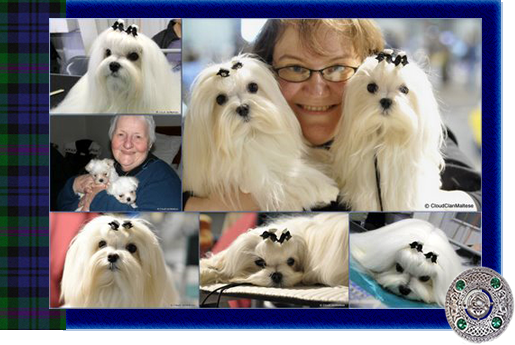 Clan Collage Framed