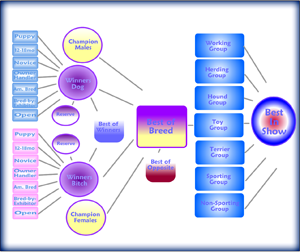 Chart - Click to Enlarge