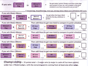 Dog Show Points - Click to Enlarge