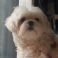 Georgie